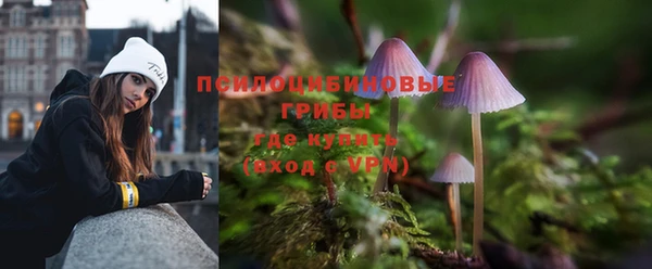 тгк Волосово