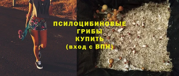 шишки Вязьма