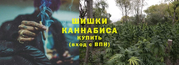 дмт Вяземский