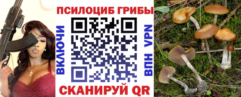 Галлюциногенные грибы мухоморы  Рубцовск 